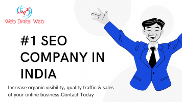  SEO Company in India